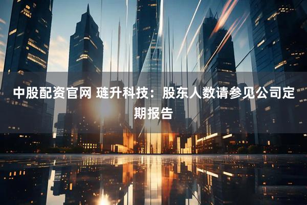 中股配资官网 琏升科技：股东人数请参见公司定期报告